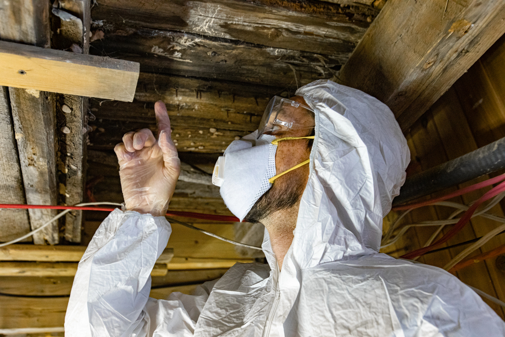 Mold remediation specialist in white hazmat suit and respirator inspecting damaged wooden ceiling in crawl space