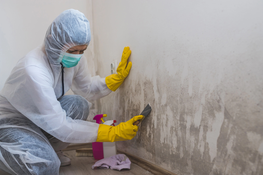 Mold remediation specialist in protective suit and mask scraping black mold from a wall with spray bottle nearby