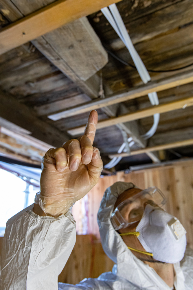 Mold remediation specialist in protective suit and respirator pointing at damaged ceiling joists during inspection