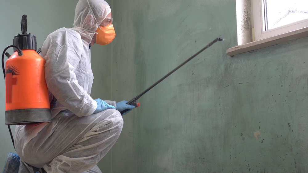 Mold remediation professional in white hazmat suit spraying treatment on green wall near window