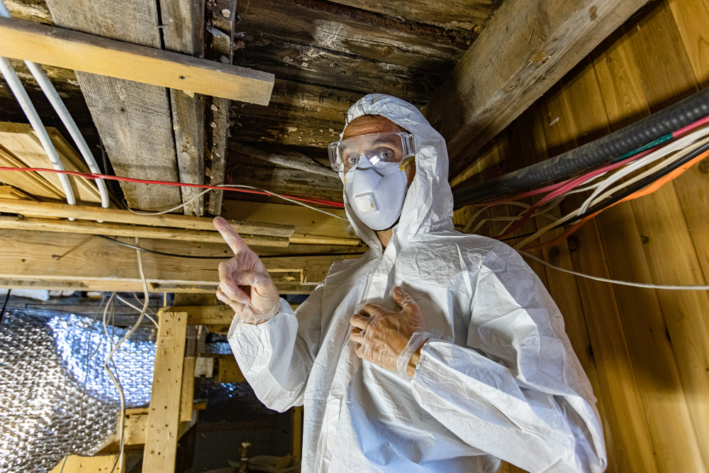 Mold remediation specialist in white hazmat suit and respirator inspecting crawl space with exposed beams and wiring