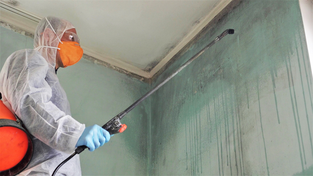 Mold remediation specialist in protective suit and respirator spraying treatment on mold-covered wall