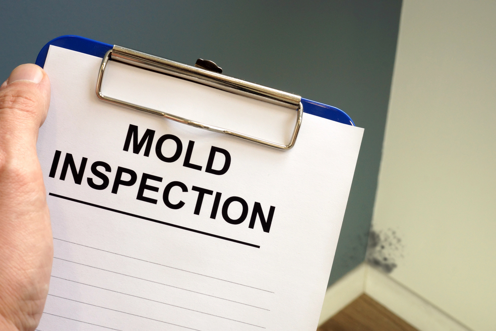 Mold inspection clipboard held by hand near a wall corner with visible mold growth