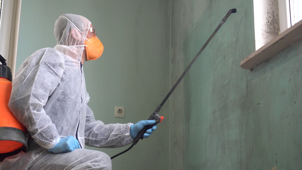 Mold remediation technician in protective suit and respirator spraying treatment on mold-covered interior wall